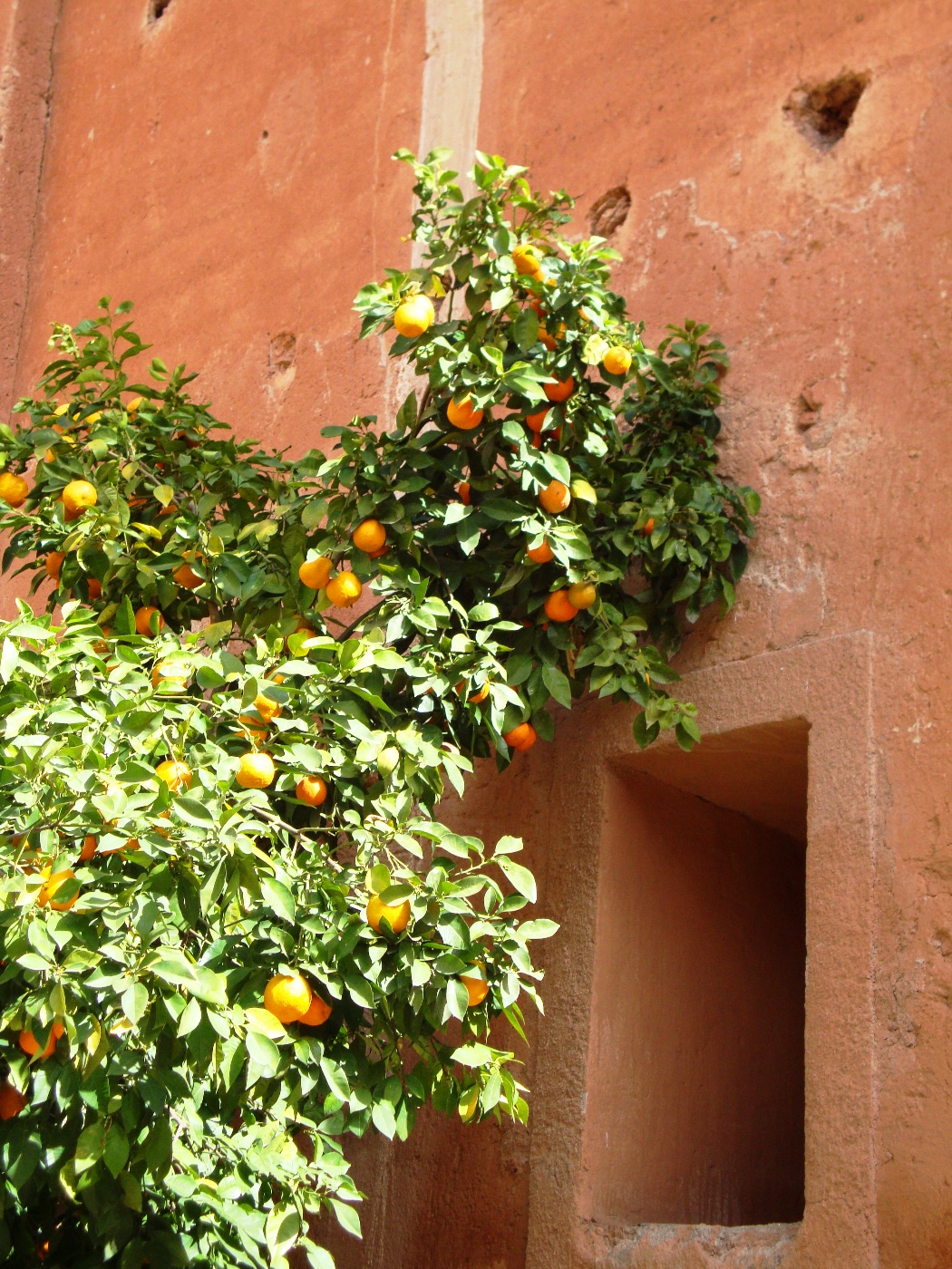 moroccan pink architecture