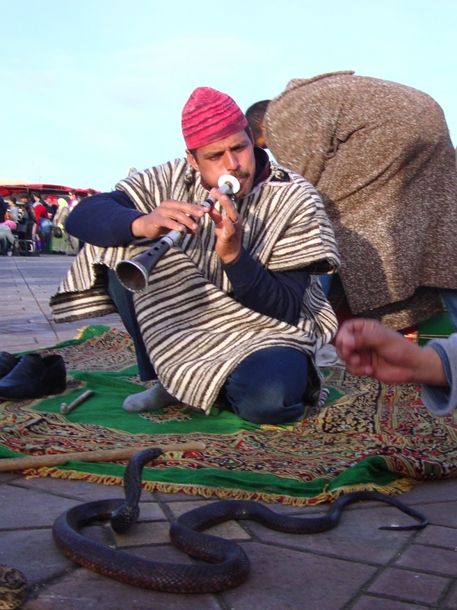 snake charmer, djemaa el fna