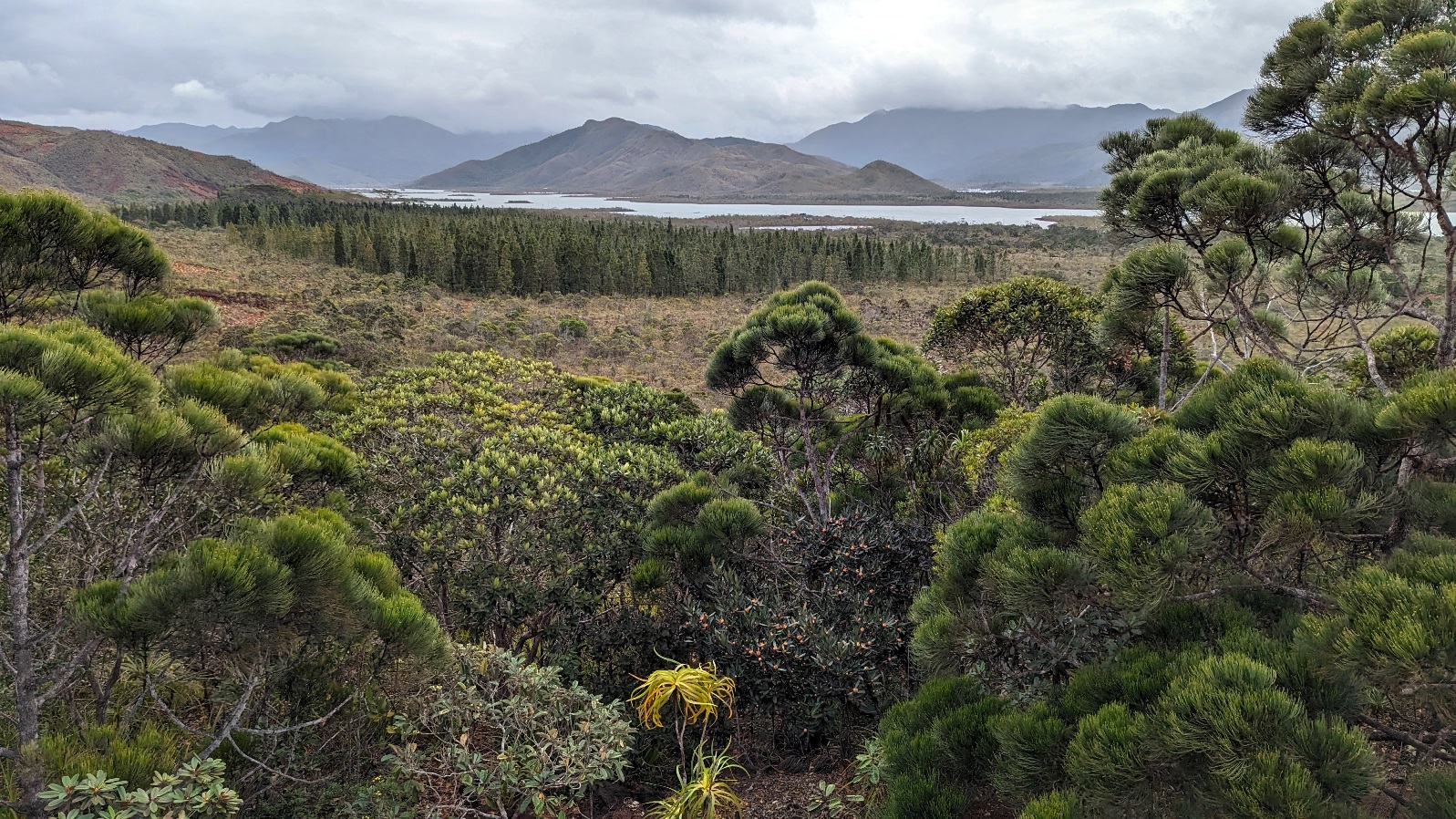 blue river park new caledonia