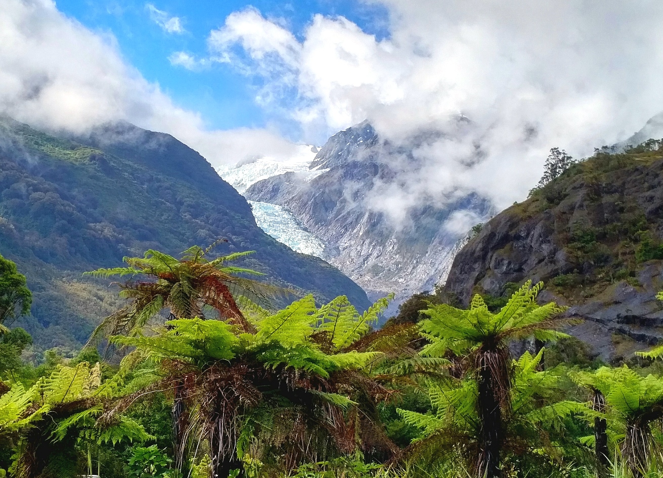 Franz Josef Glacier new zealand