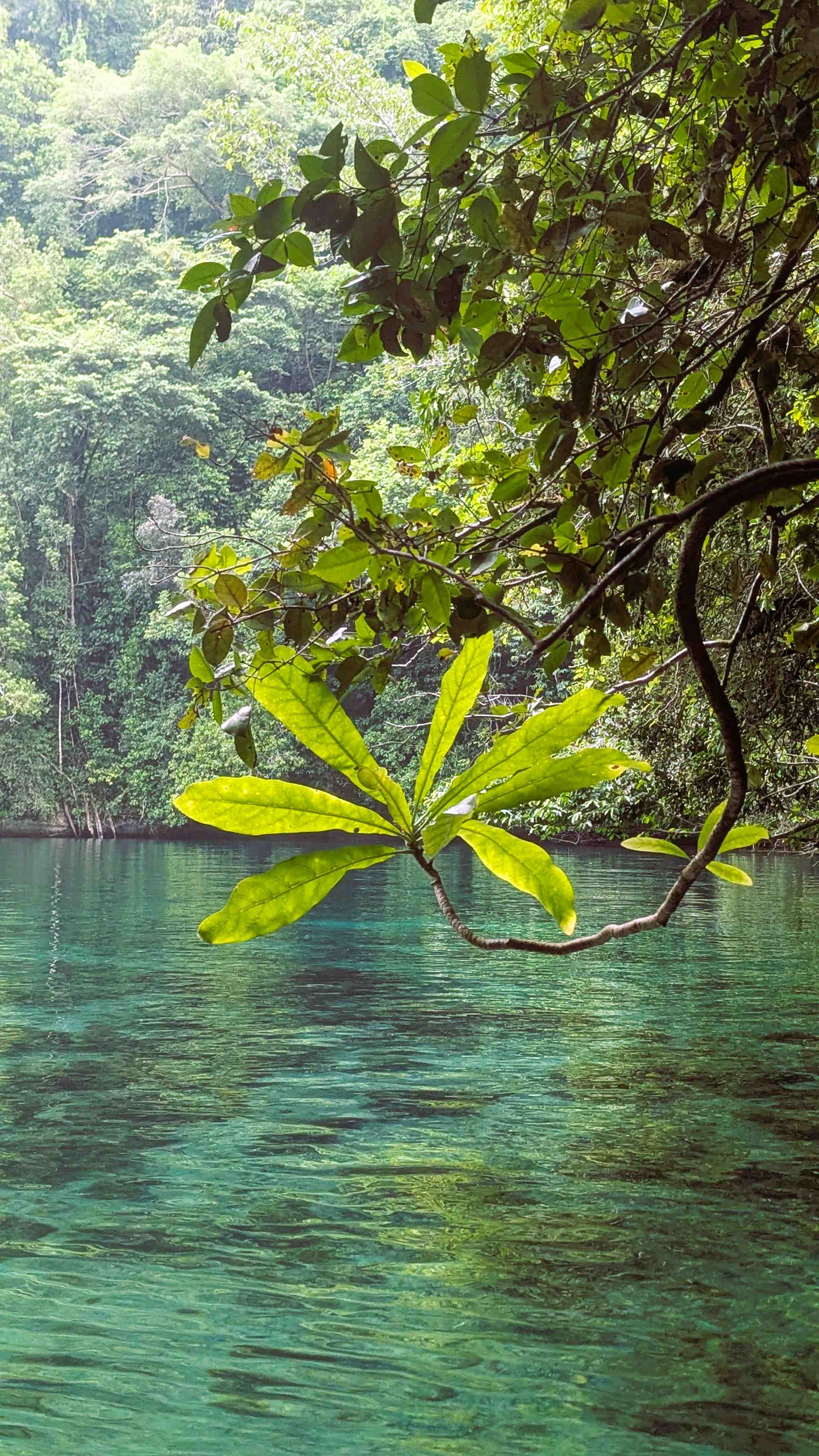 Rock Islands Kayaking