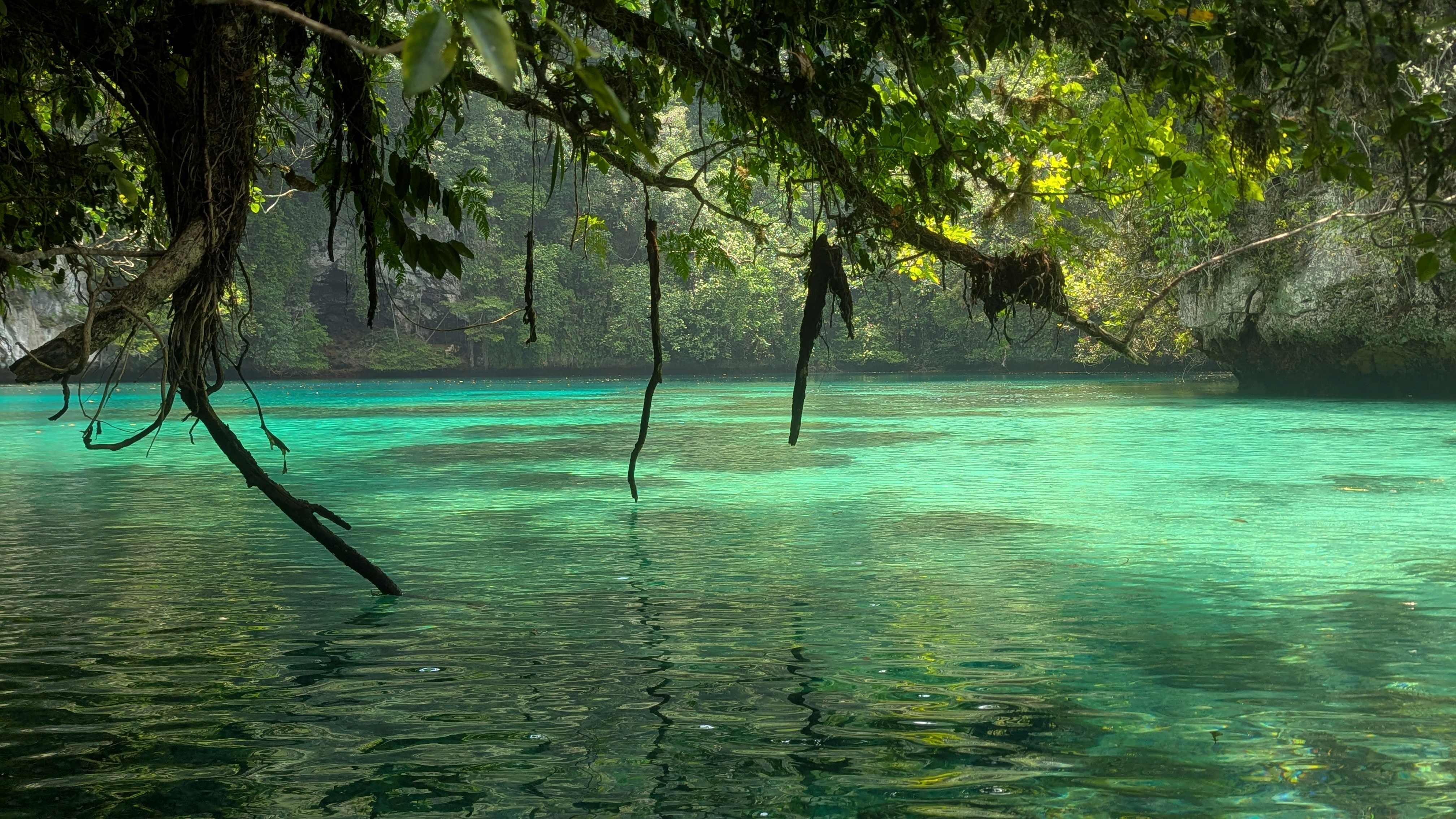 Rock Islands Kayaking