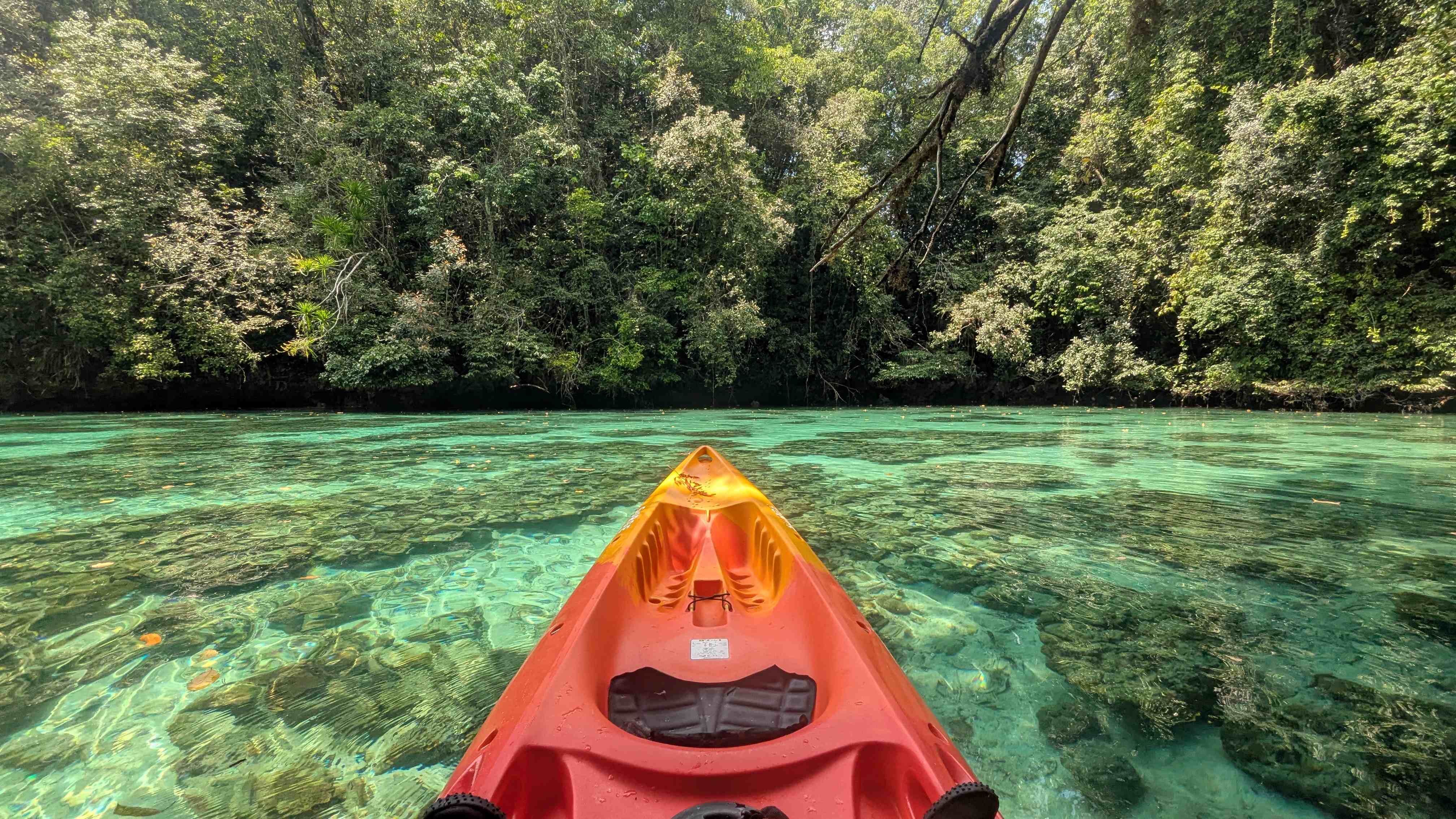 kayaking in palau's rock islands marine lake
