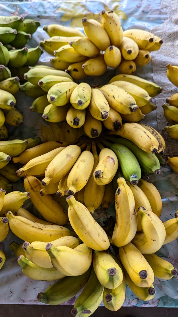 Fugalei Fresh Produce Market bananas