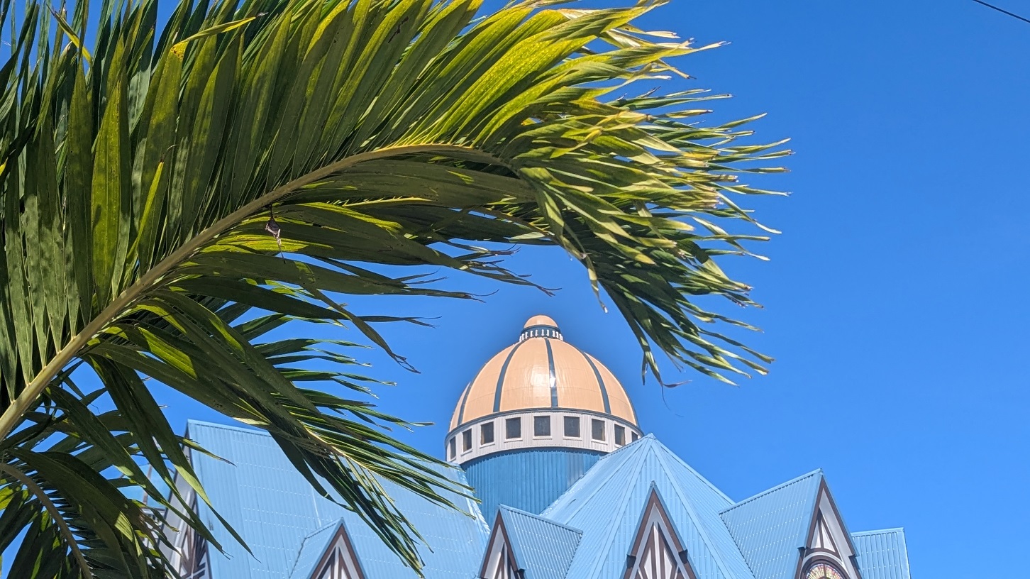 apia cathedral with palms