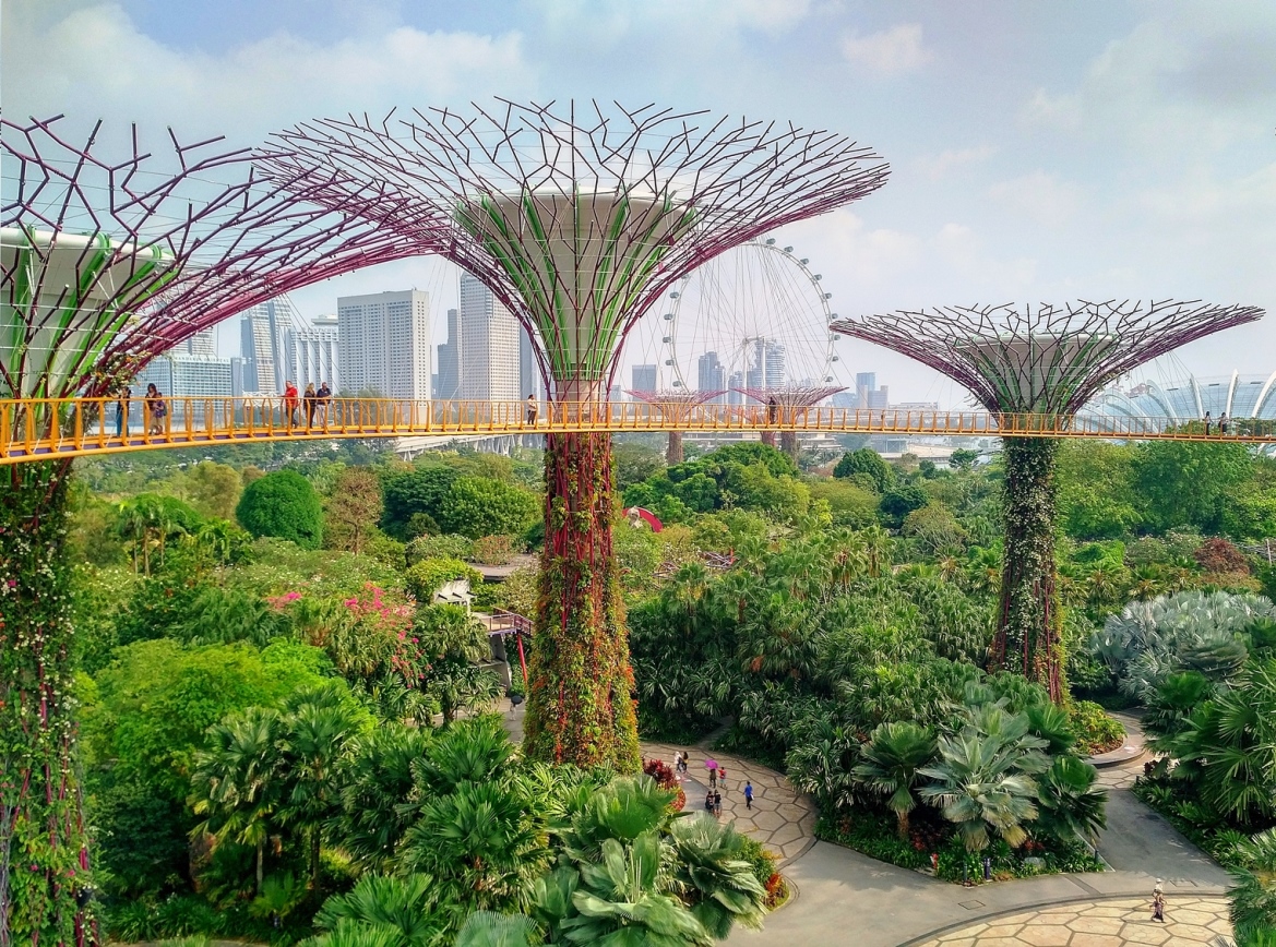 gardens by the bay