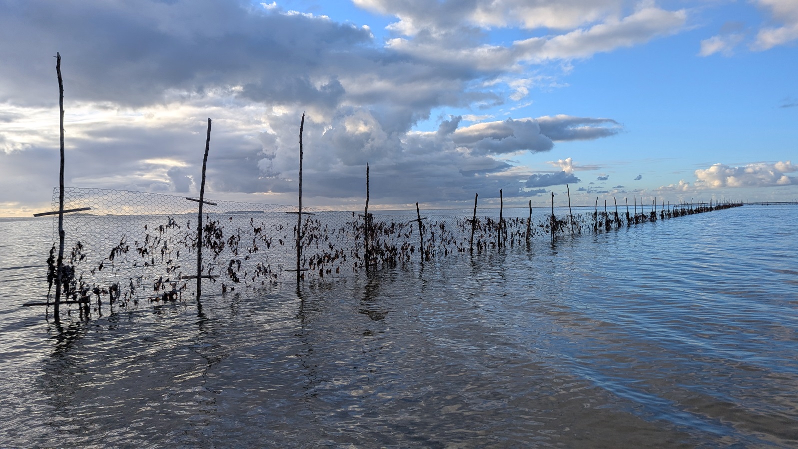 tongatapu beach fishing nets