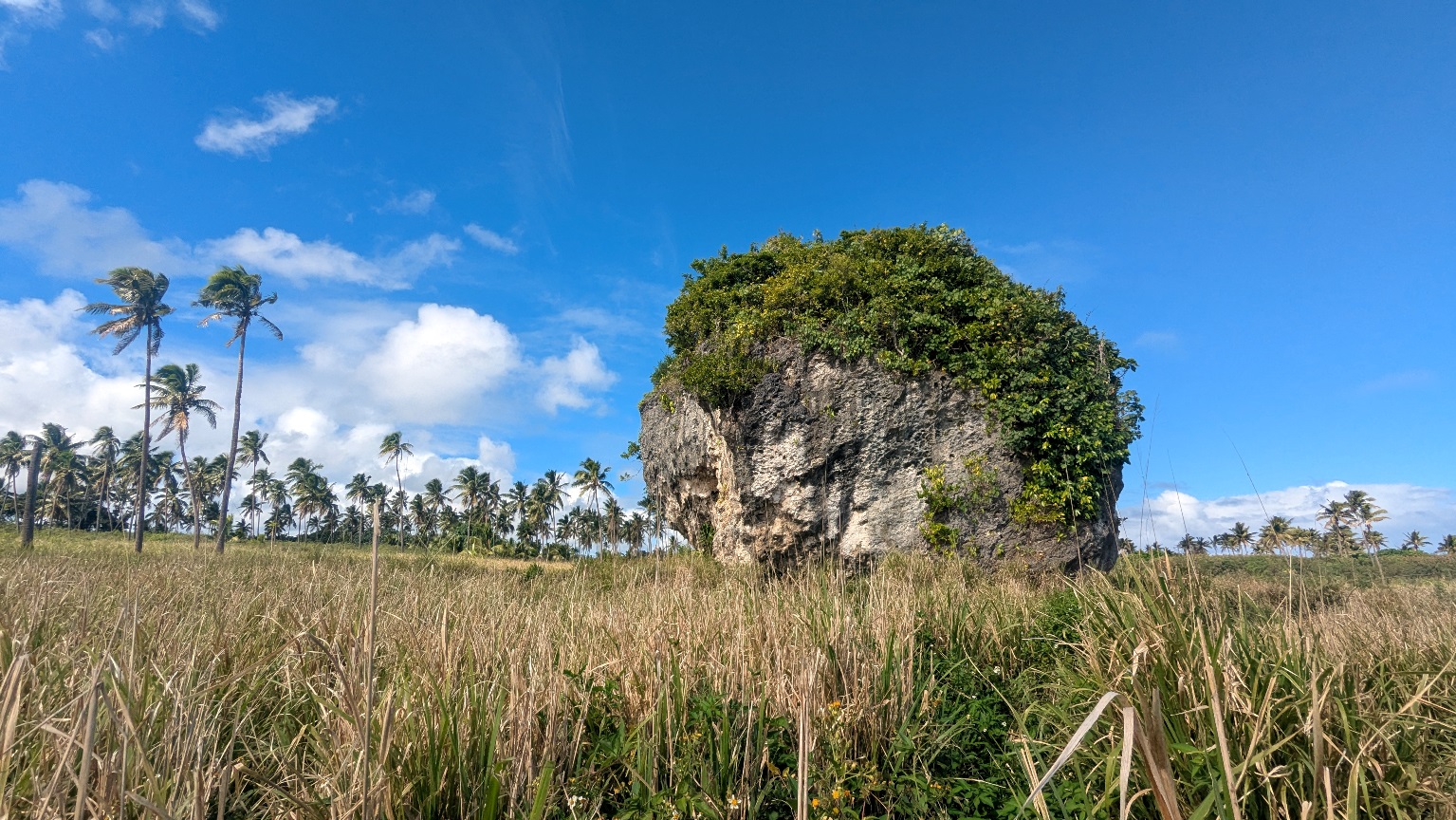 Tsunami Rock
