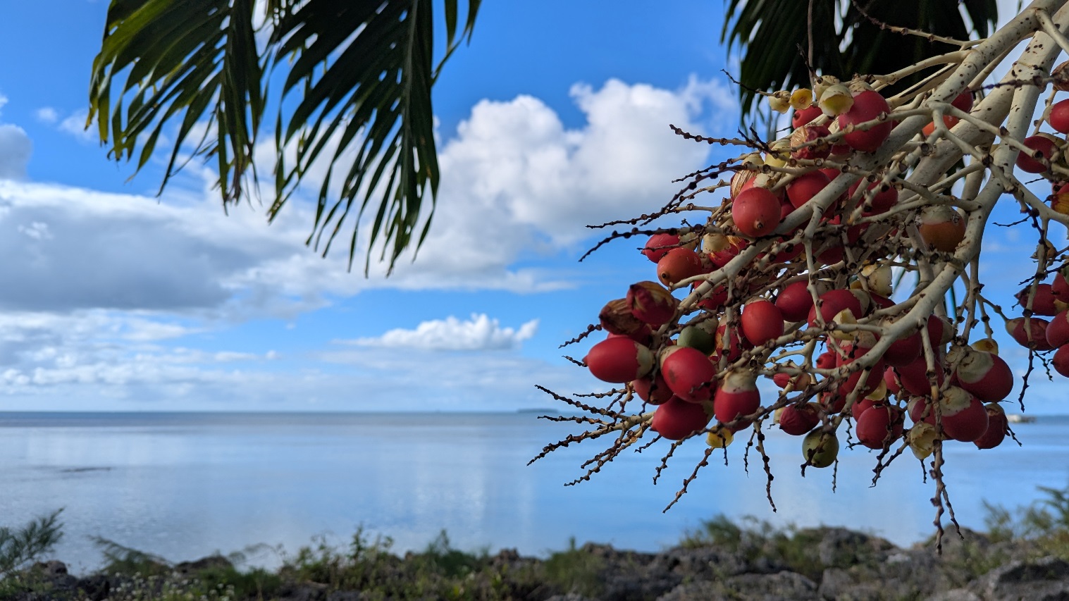 nuku'alofa coast