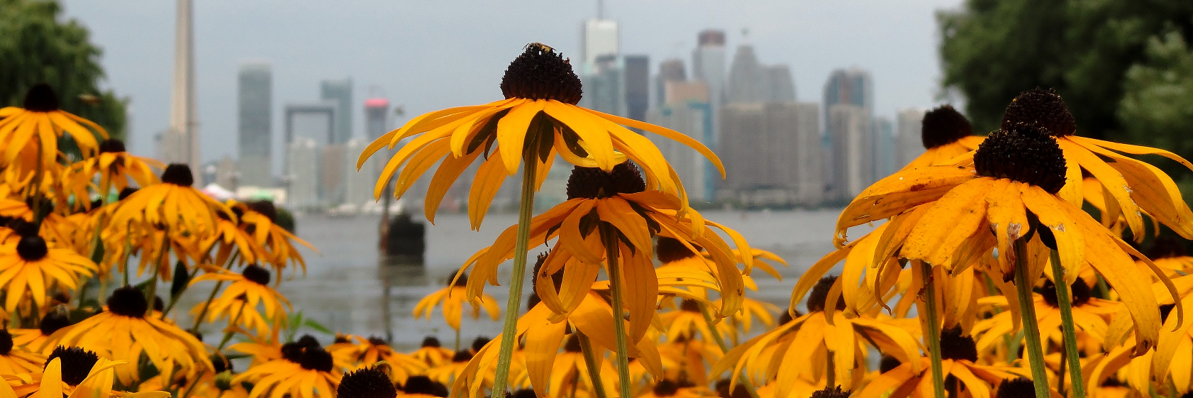 toronto island