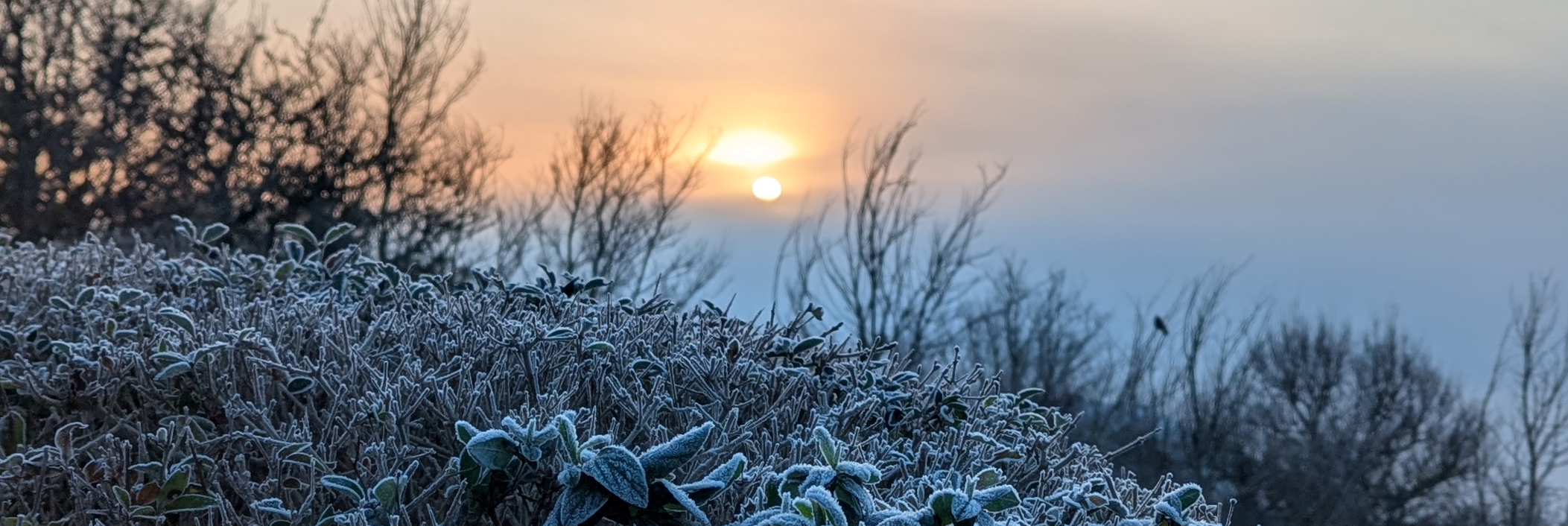 essex sunrise