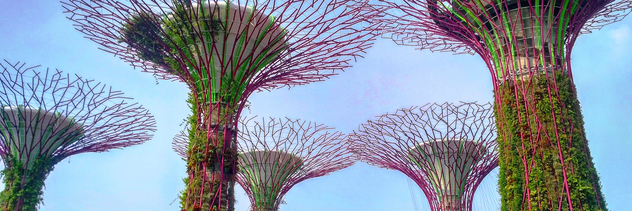 gardens by the bay